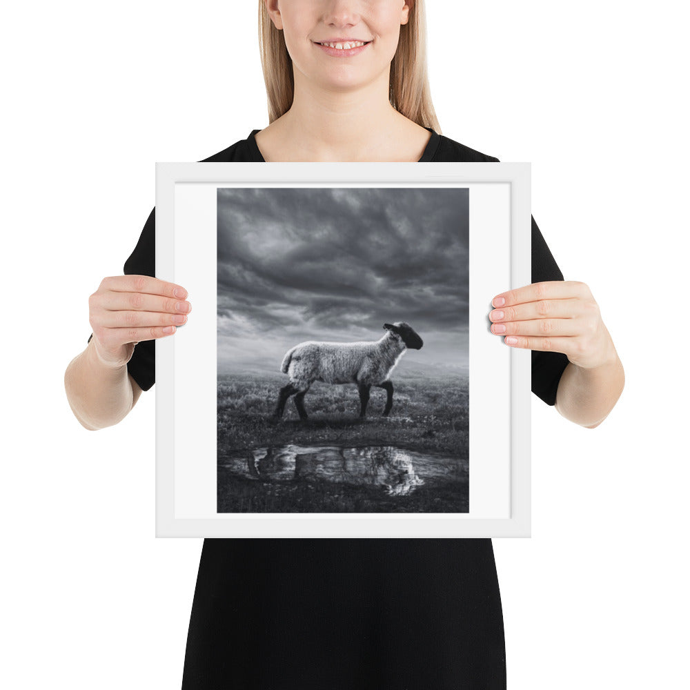 Framed photo paper poster