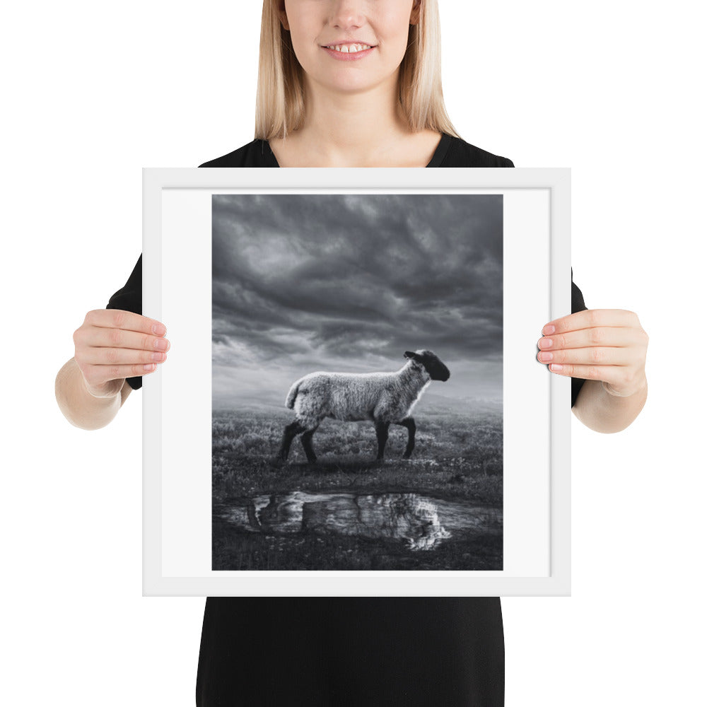 Framed photo paper poster